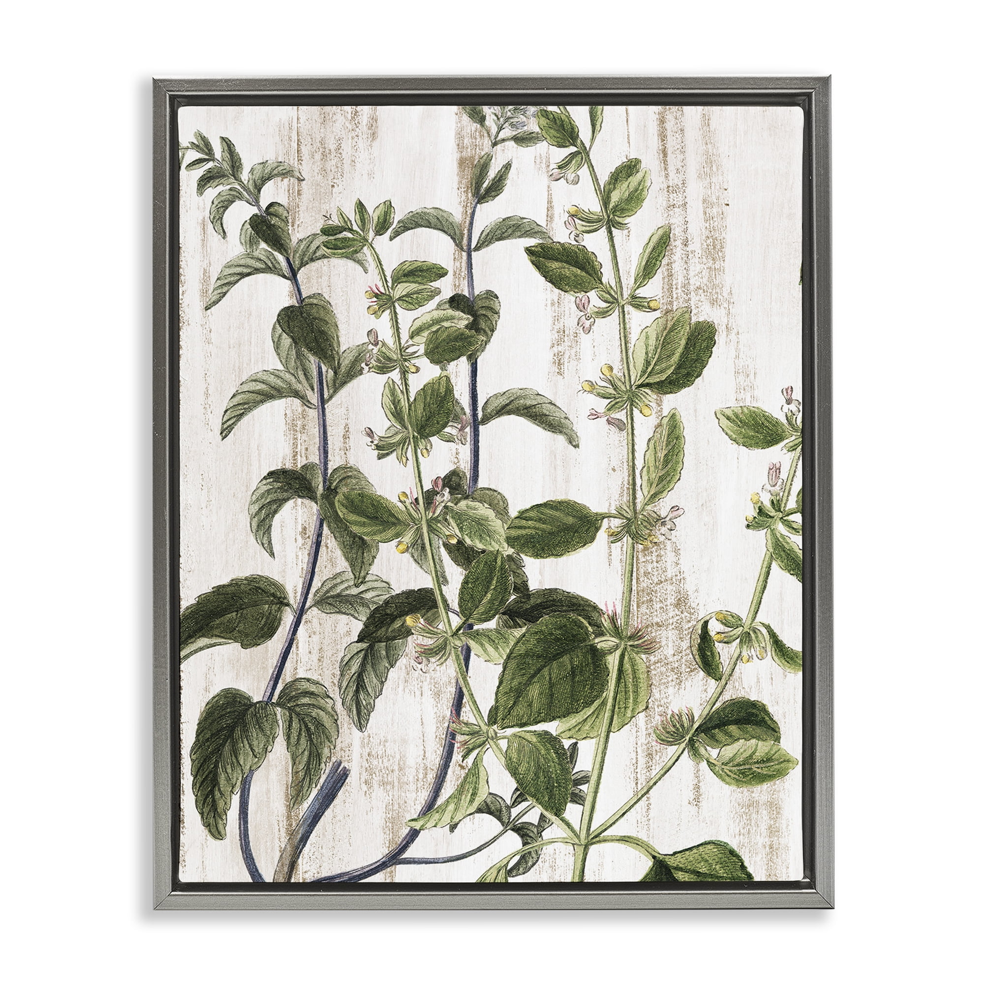 Stupell Industries Rustic Botanical Vines Botanical & Floral Painting Gray Floater Framed Art Print Wall Art, 25 x 31