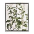thumbnail image 1 of Stupell Industries Rustic Botanical Vines Botanical & Floral Painting Gray Floater Framed Art Print Wall Art, 25 x 31, 1 of 10