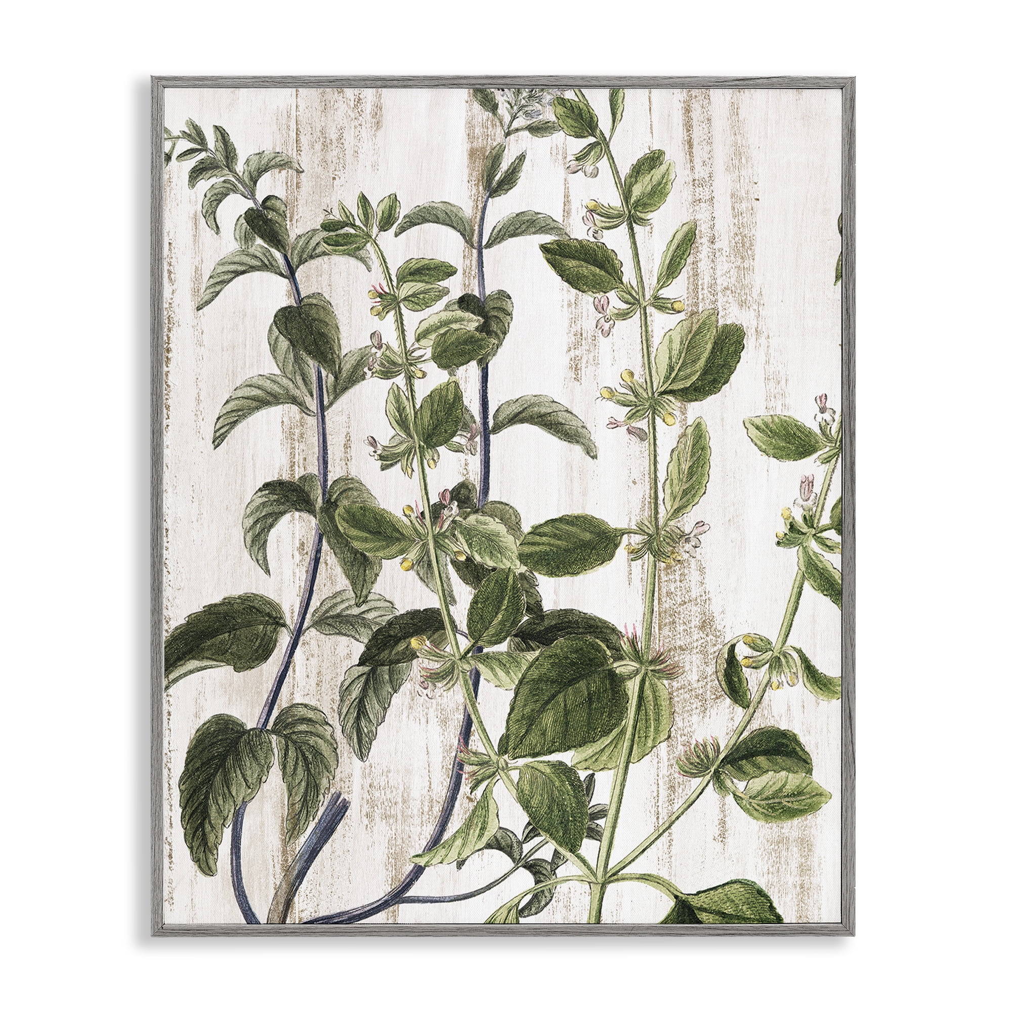 Stupell Industries Rustic Botanical Vines Botanical & Floral Painting Gray Framed Art Print Wall Art, 16 x 20