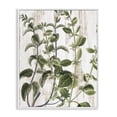 thumbnail image 1 of Stupell Industries Rustic Botanical Vines Botanical & Floral Painting White Framed Art Print Wall Art, 11 x 14, 1 of 10