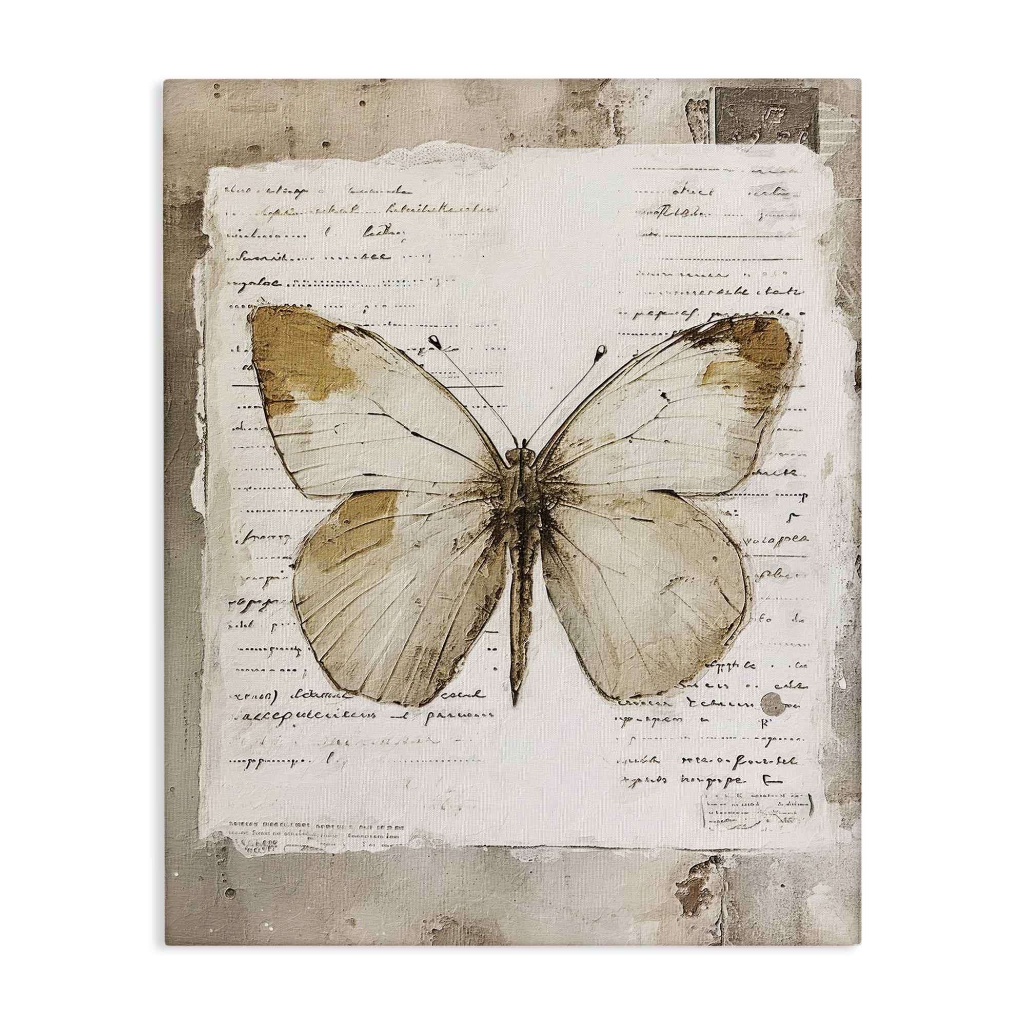 Stupell Industries Rustic Butterfly Collage Animals Painting Wrapped Canvas Art Print Wall Art, 36 x 48