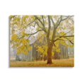 thumbnail image 1 of Stupell Industries Rustic Cabin Autumn Foliage Landscape Photography Gallery Wrapped Canvas Print Wall Art, 1 of 5