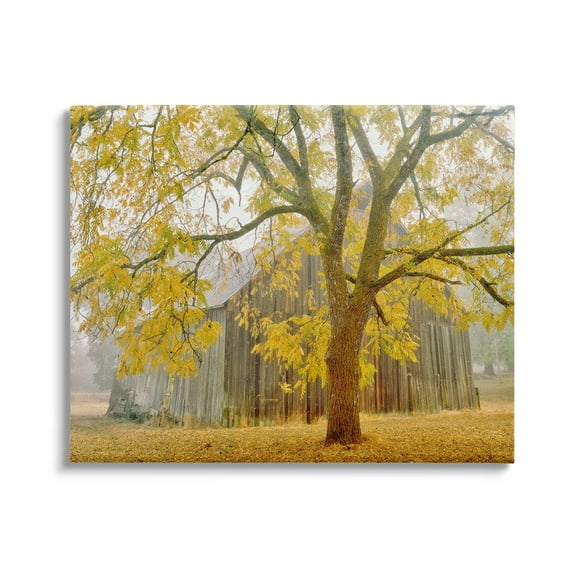 Stupell Industries Rustic Cabin Autumn Foliage Landscape Photography Gallery Wrapped Canvas Print Wall Art