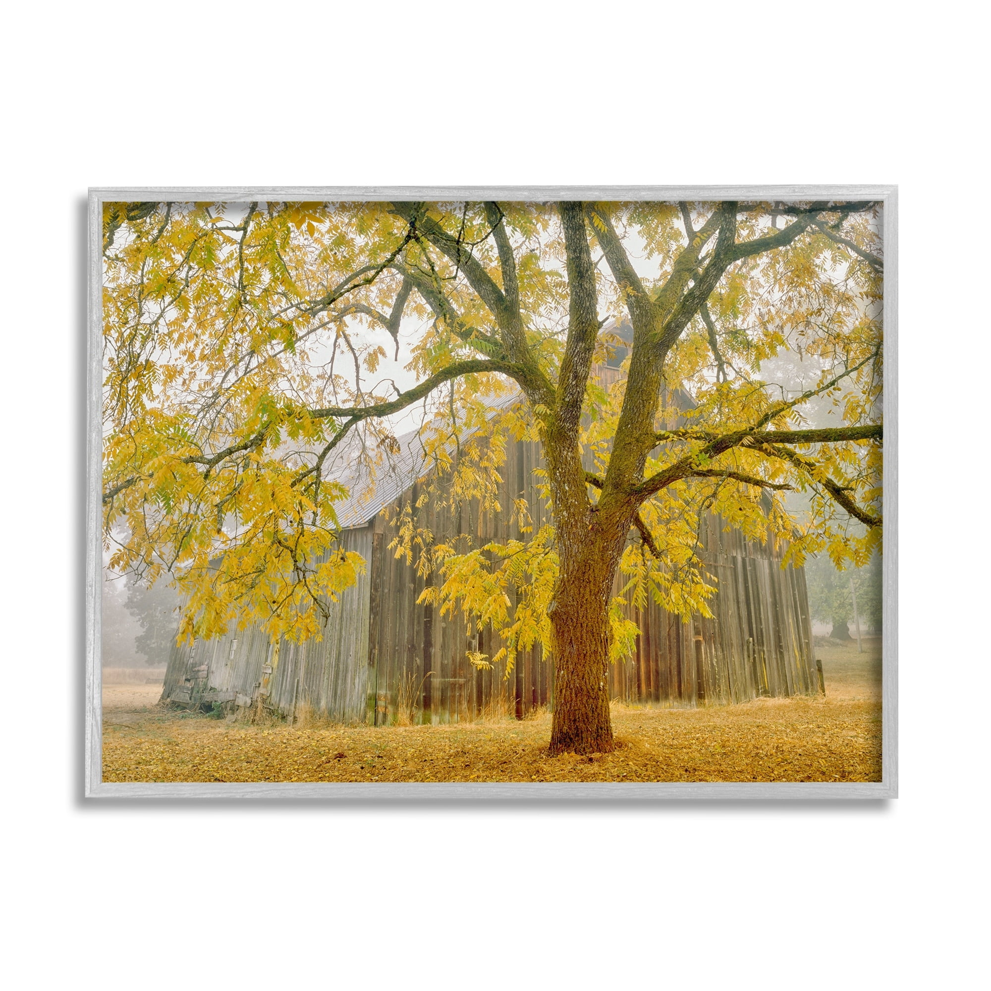 Stupell Industries Rustic Cabin Autumn Foliage Landscape Photography Gray Framed Art Print Wall Art