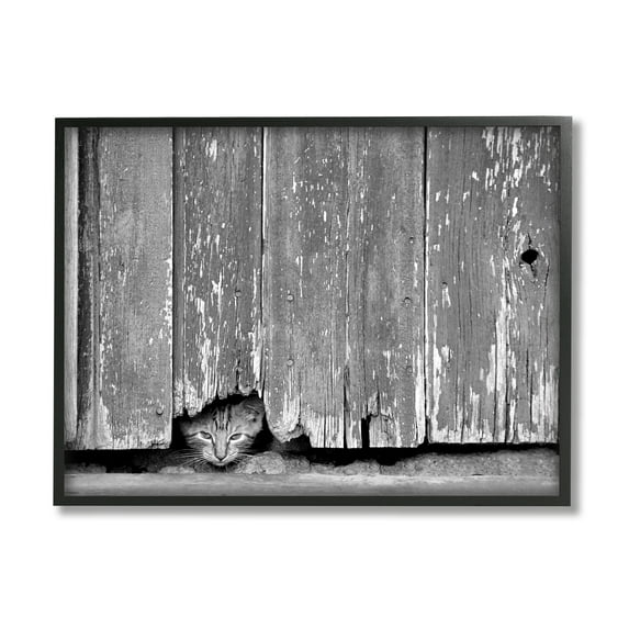 Stupell Industries Rustic Cat Peeking Animals & Insects Photography Black Framed Art Print Wall Art, 14 x 11