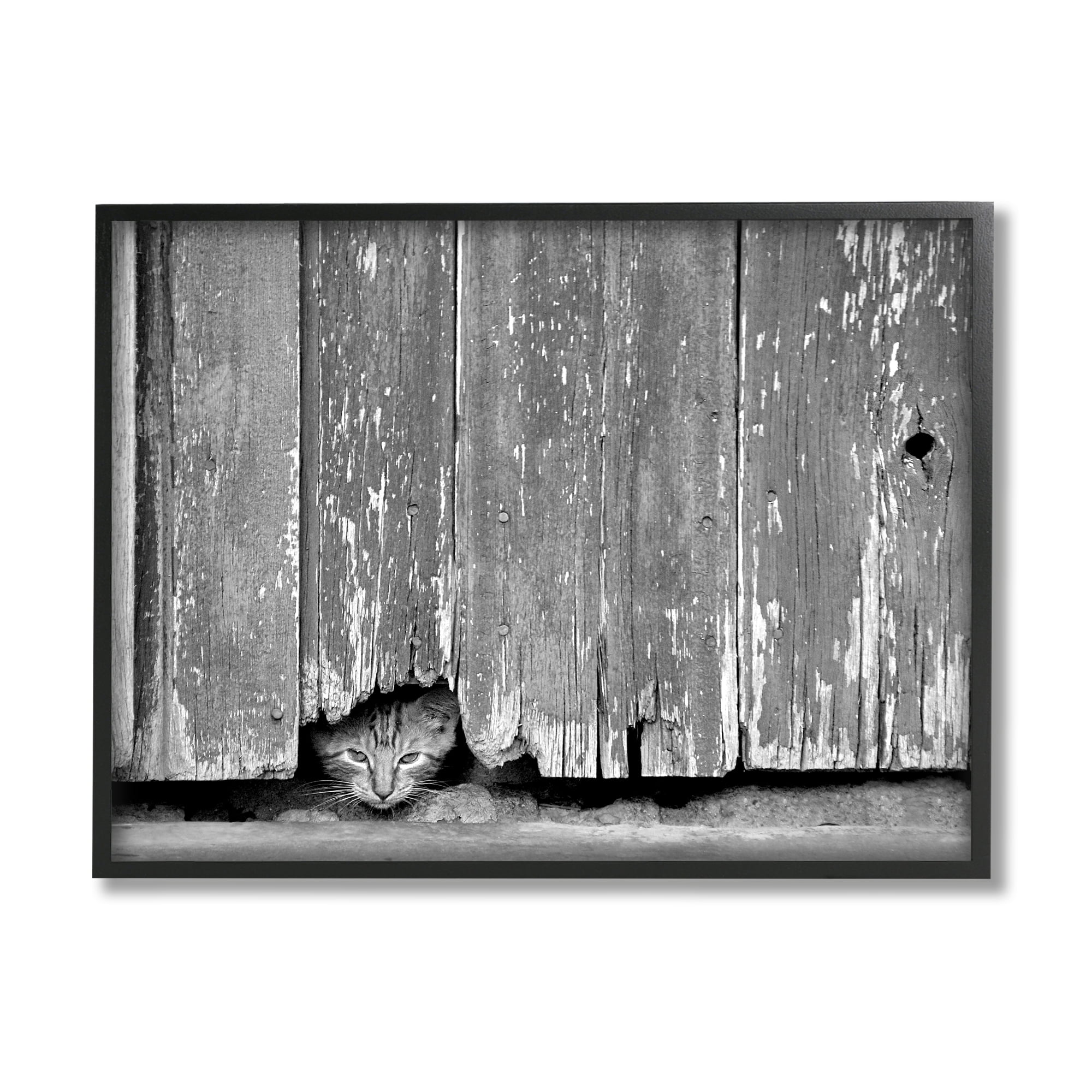 Stupell Industries Rustic Cat Peeking Animals & Insects Photography Black Framed Art Print Wall Art, 30 x 24