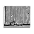 thumbnail image 1 of Stupell Industries Rustic Cat Peeking Animals & Insects Photography Gallery Wrapped Canvas Art Print Wall Art, 48 x 36, 1 of 8