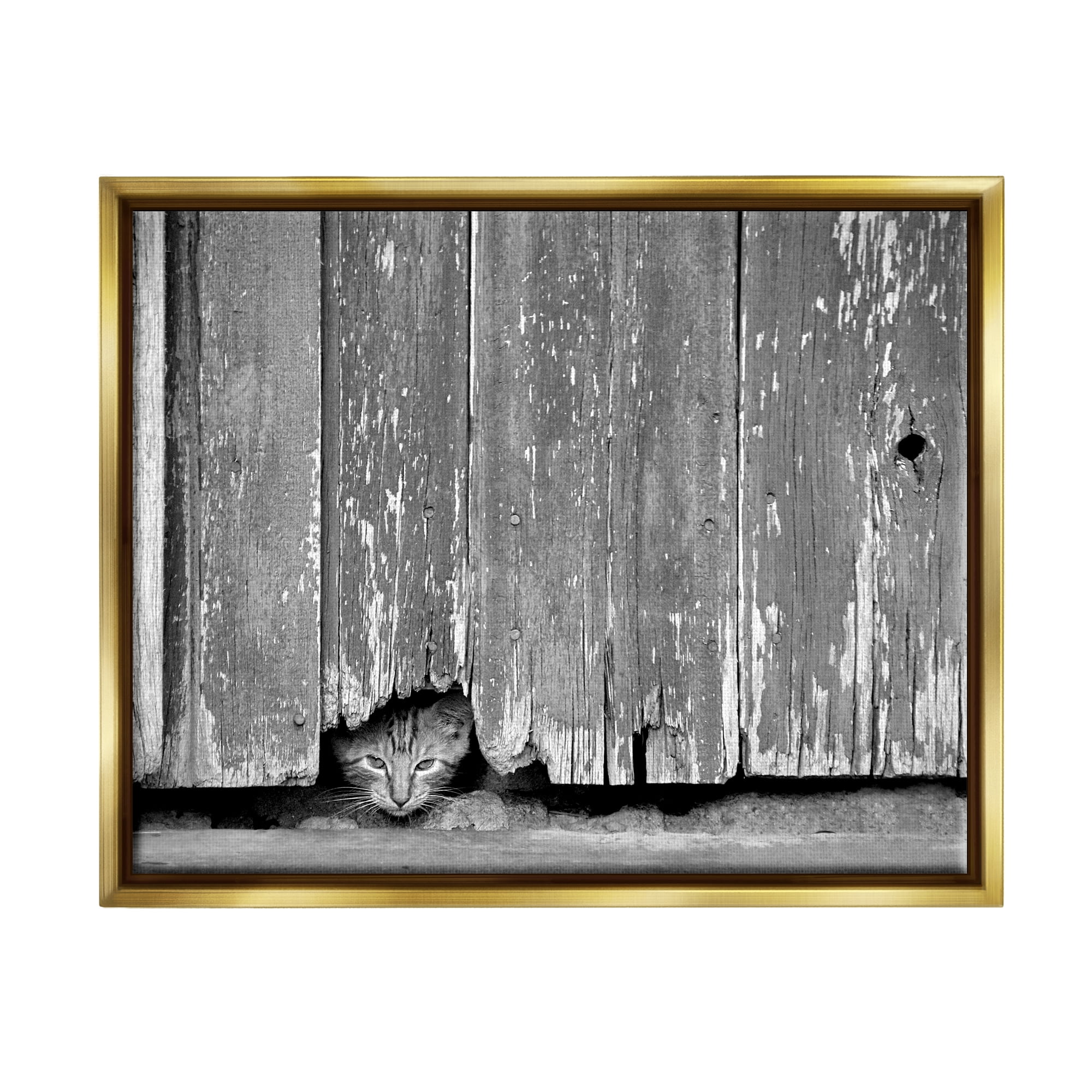 Stupell Industries Rustic Cat Peeking Animals & Insects Photography Gold Floater Framed Canvas Art Print Wall Art, 21 x 17