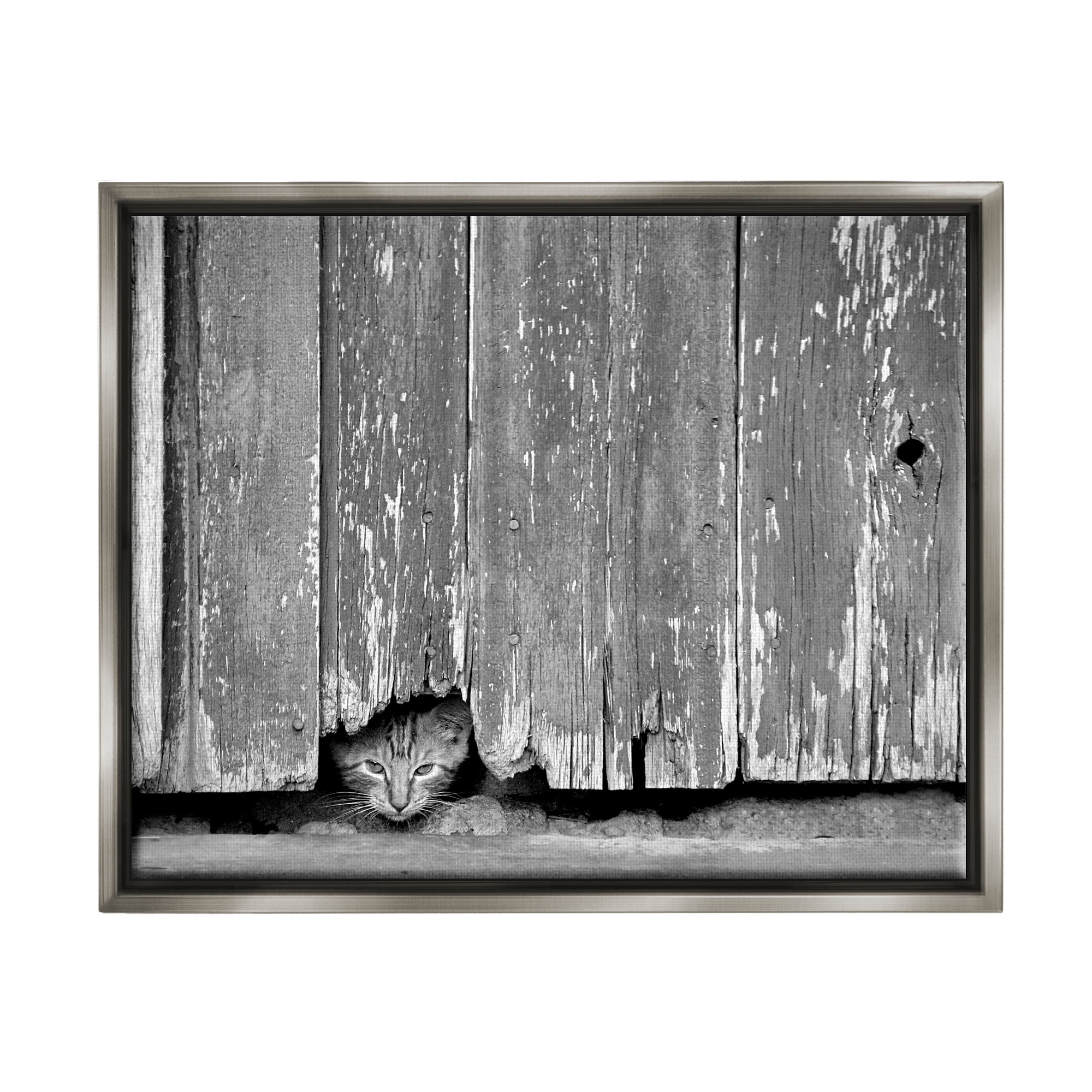 Stupell Industries Rustic Cat Peeking Animals & Insects Photography Gray Floater Framed Canvas Art Print Wall Art, 31 x 25