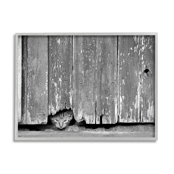 Stupell Industries Rustic Cat Peeking Animals & Insects Photography Gray Framed Art Print Wall Art, 30 x 24