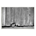 thumbnail image 1 of Stupell Industries Rustic Cat Peeking Animals & Insects Photography Unframed Art Print Wall Art, 15 x 10, 1 of 7