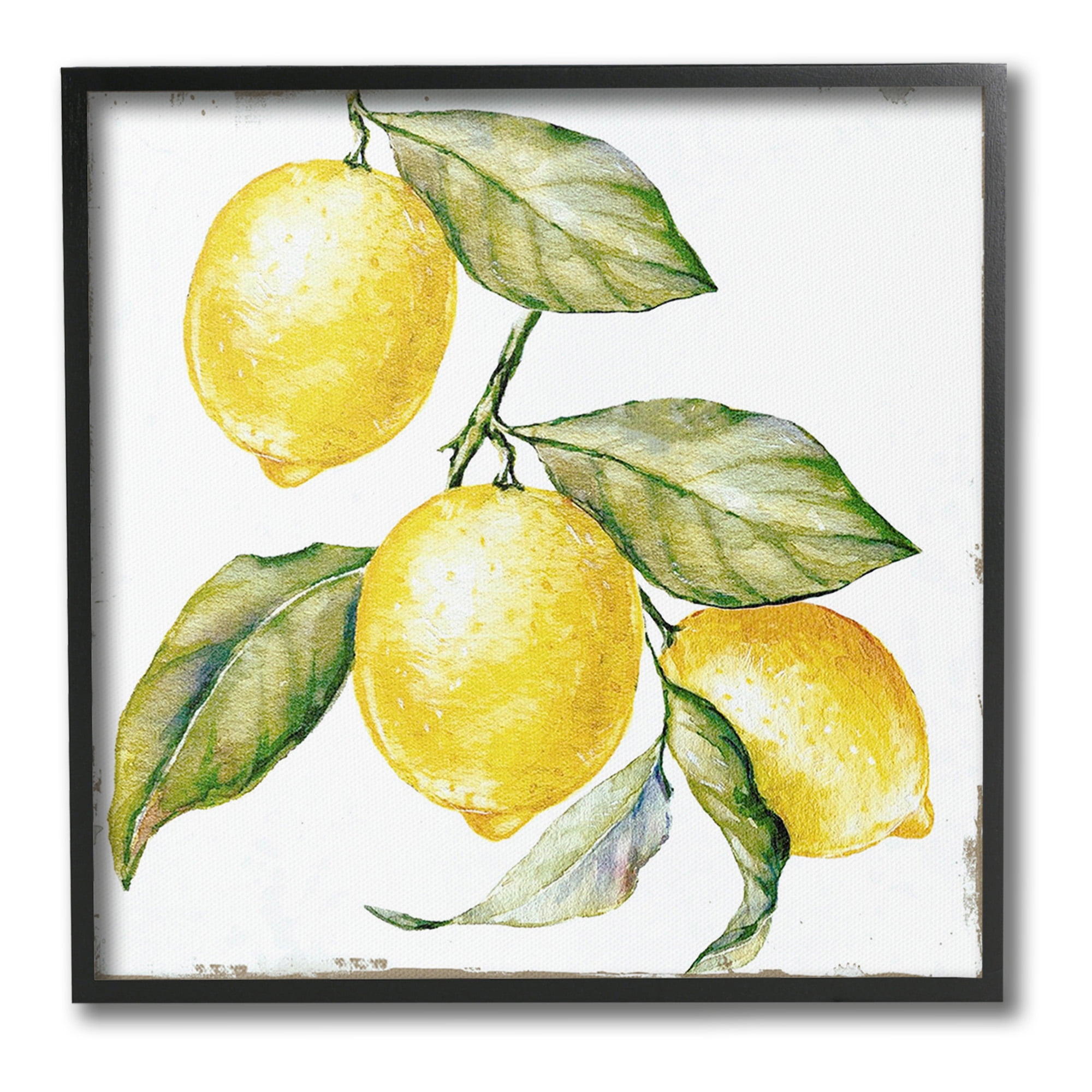 Stupell Industries Rustic Citrus Fruits Food & Beverage Painting Black Framed Art Print Wall Art, 12 x 12