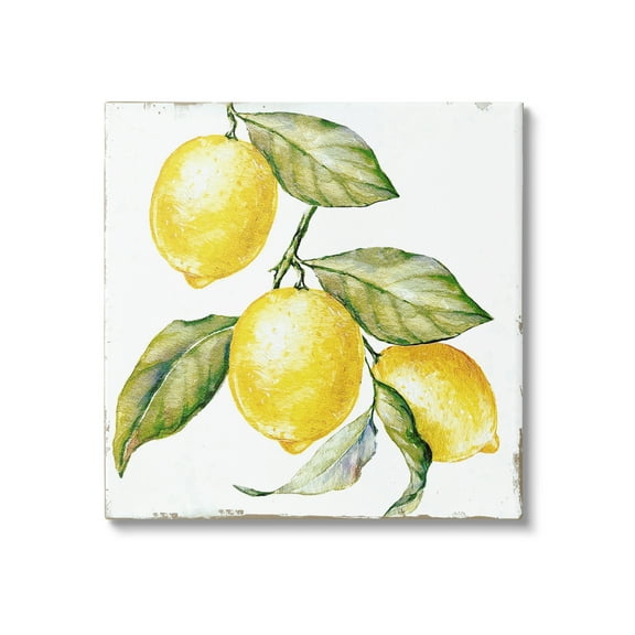 Stupell Industries Rustic Citrus Fruits Food & Beverage Painting Gallery Wrapped Canvas Art Print Wall Art, 17 x 17