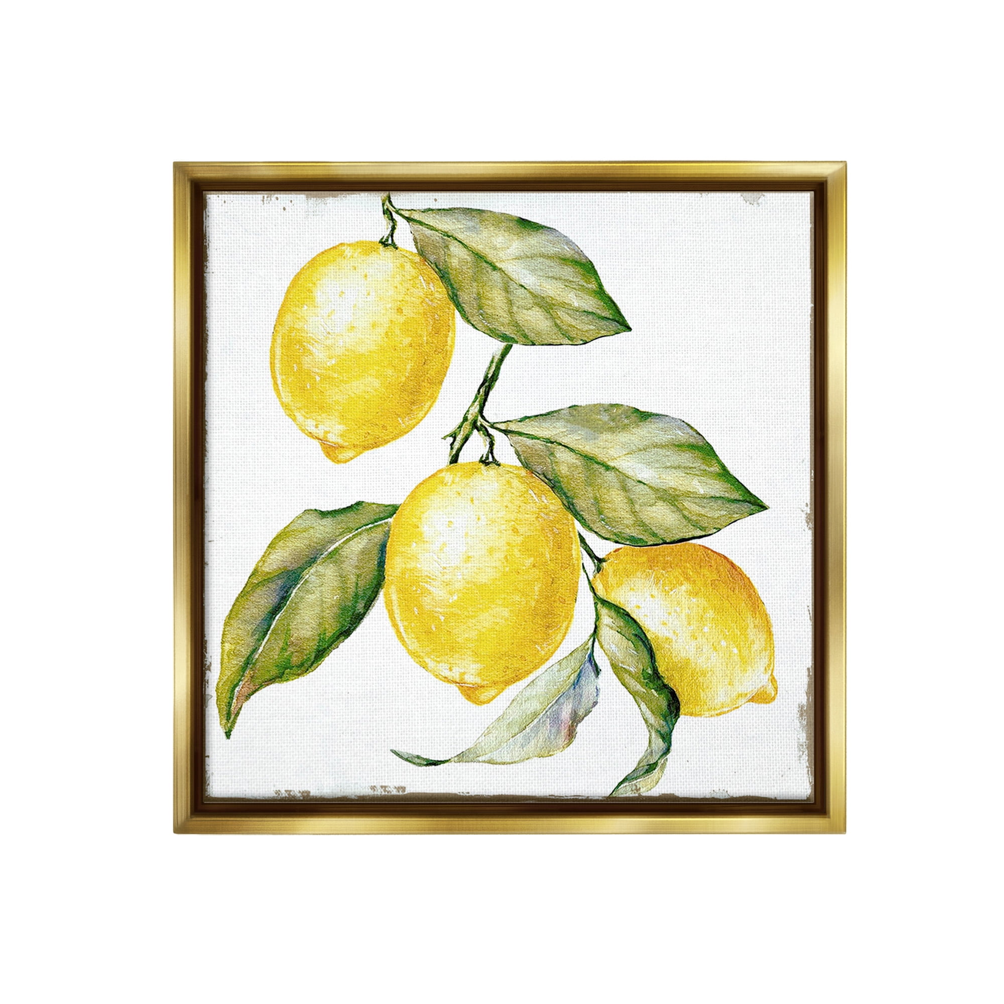Stupell Industries Rustic Citrus Fruits Food & Beverage Painting Gold Floater Framed Canvas Art Print Wall Art, 18 x 18