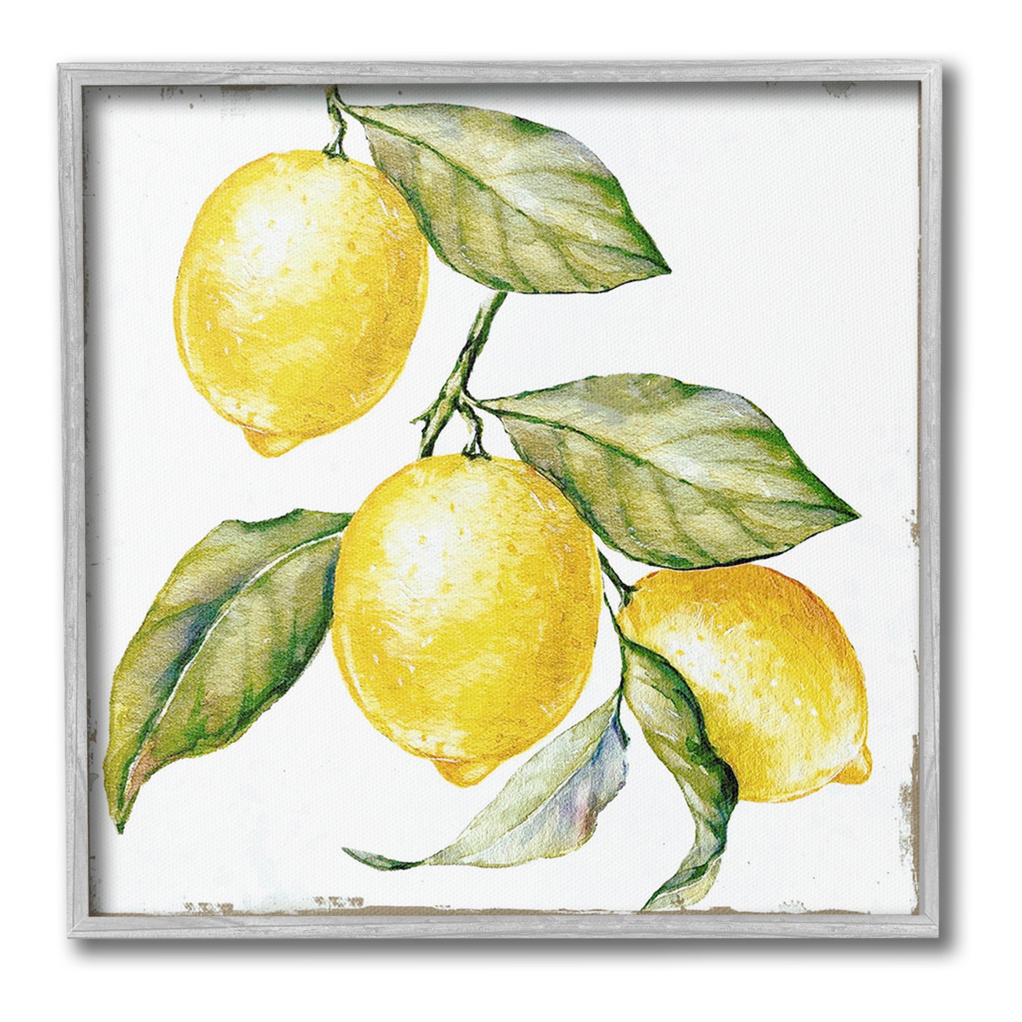 Stupell Industries Rustic Citrus Fruits Food & Beverage Painting Gray Framed Art Print Wall Art, 12 x 12