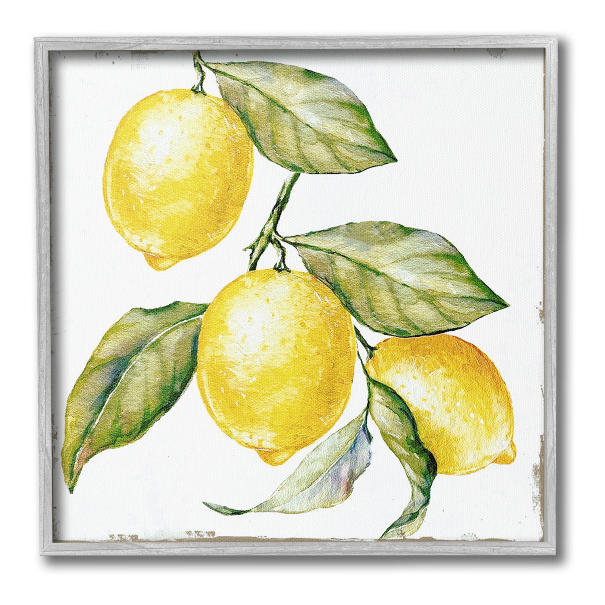 Stupell Industries Rustic Citrus Fruits Food & Beverage Painting Gray Framed Art Print Wall Art, 17 x 17