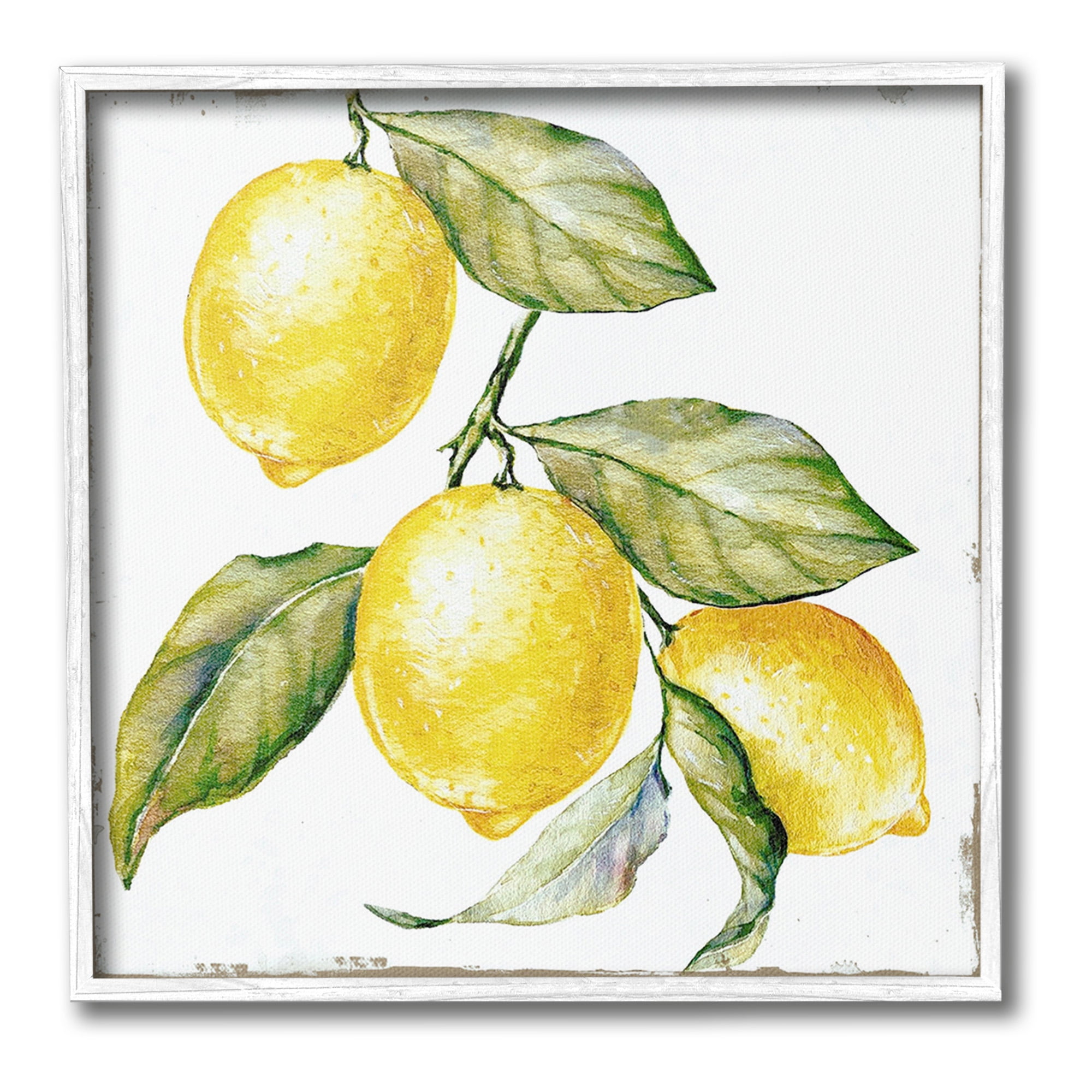 Stupell Industries Rustic Citrus Fruits Food & Beverage Painting White Framed Art Print Wall Art, 12 x 12