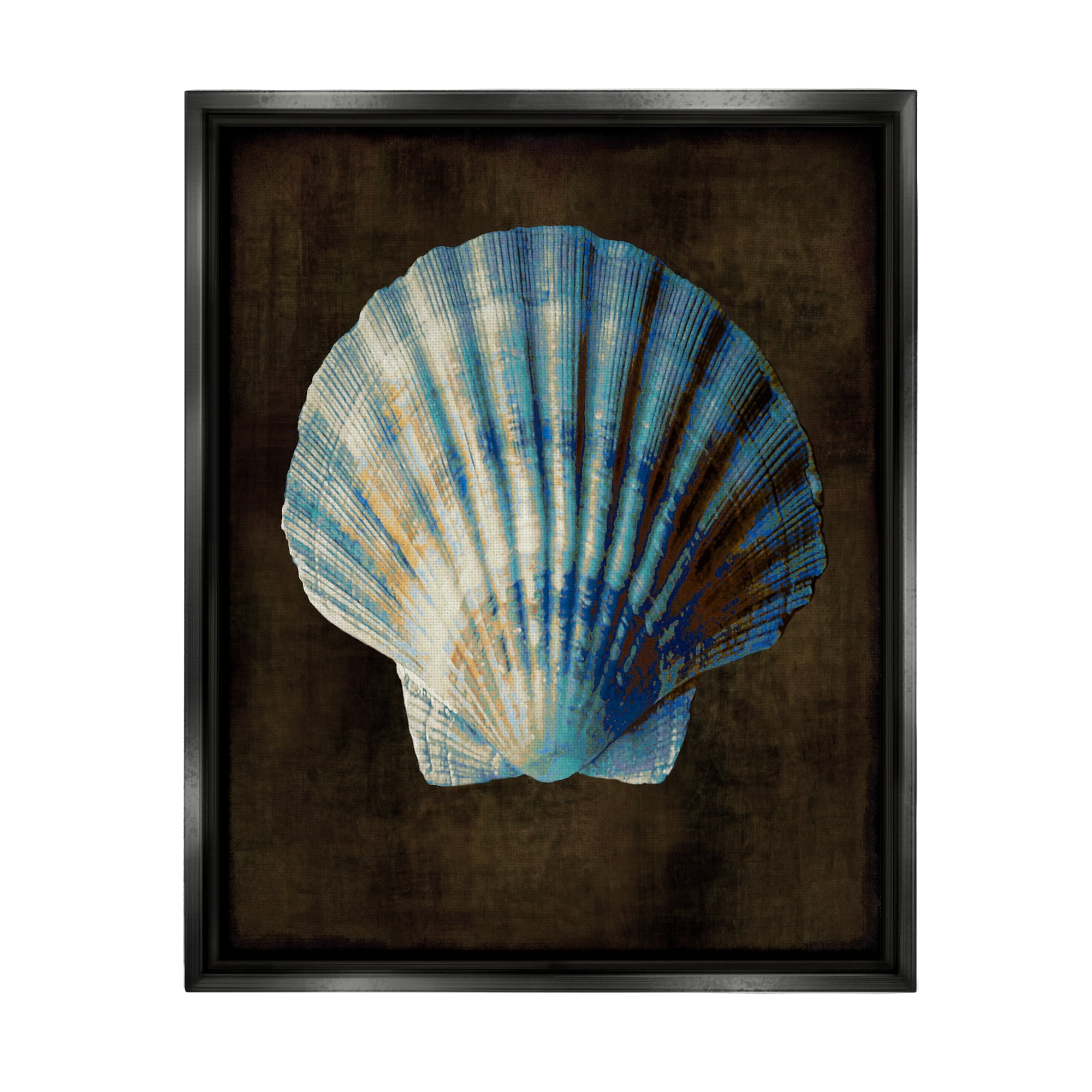 Stupell Industries Rustic Clam Shell Nature Painting Black Floater Framed Art Print Wall Art, 25 x 31