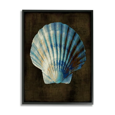 Stupell Industries Rustic Clam Shell Nature Painting Black Framed Art Print Wall Art, 11 x 14