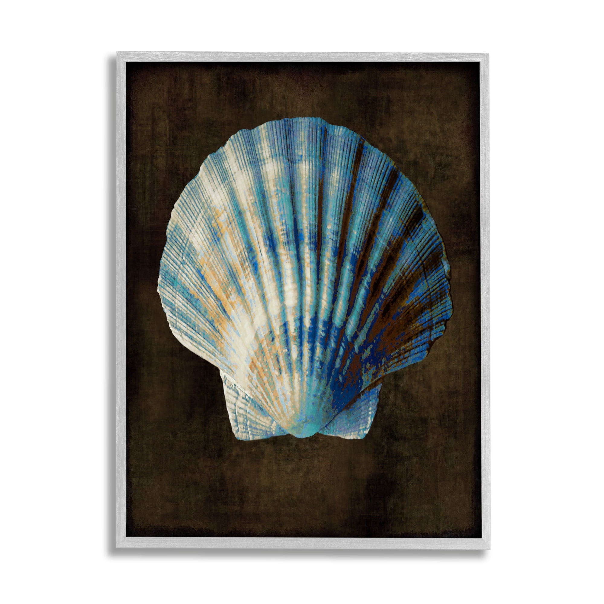 Stupell Industries Rustic Clam Shell Nature Painting Gray Framed Art Print Wall Art, 24 x 30