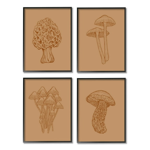 Stupell Industries Rustic Cottage Mushroom Sketches Graphic Art Black Framed Art Print Wall Art, Set of 4, Design by Ziwei Li