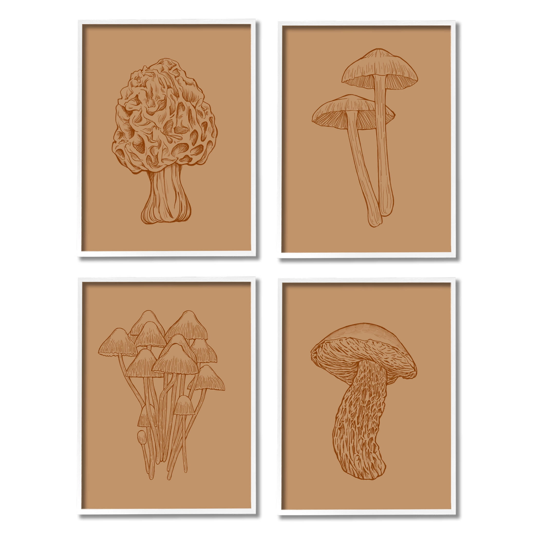 Stupell Industries Rustic Cottage Mushroom Sketches Graphic Art White Framed Art Print Wall Art, Set of 4, Design by Ziwei Li