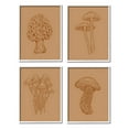 thumbnail image 1 of Stupell Industries Rustic Cottage Mushroom Sketches Graphic Art White Framed Art Print Wall Art, Set of 4, Design by Ziwei Li, 1 of 7