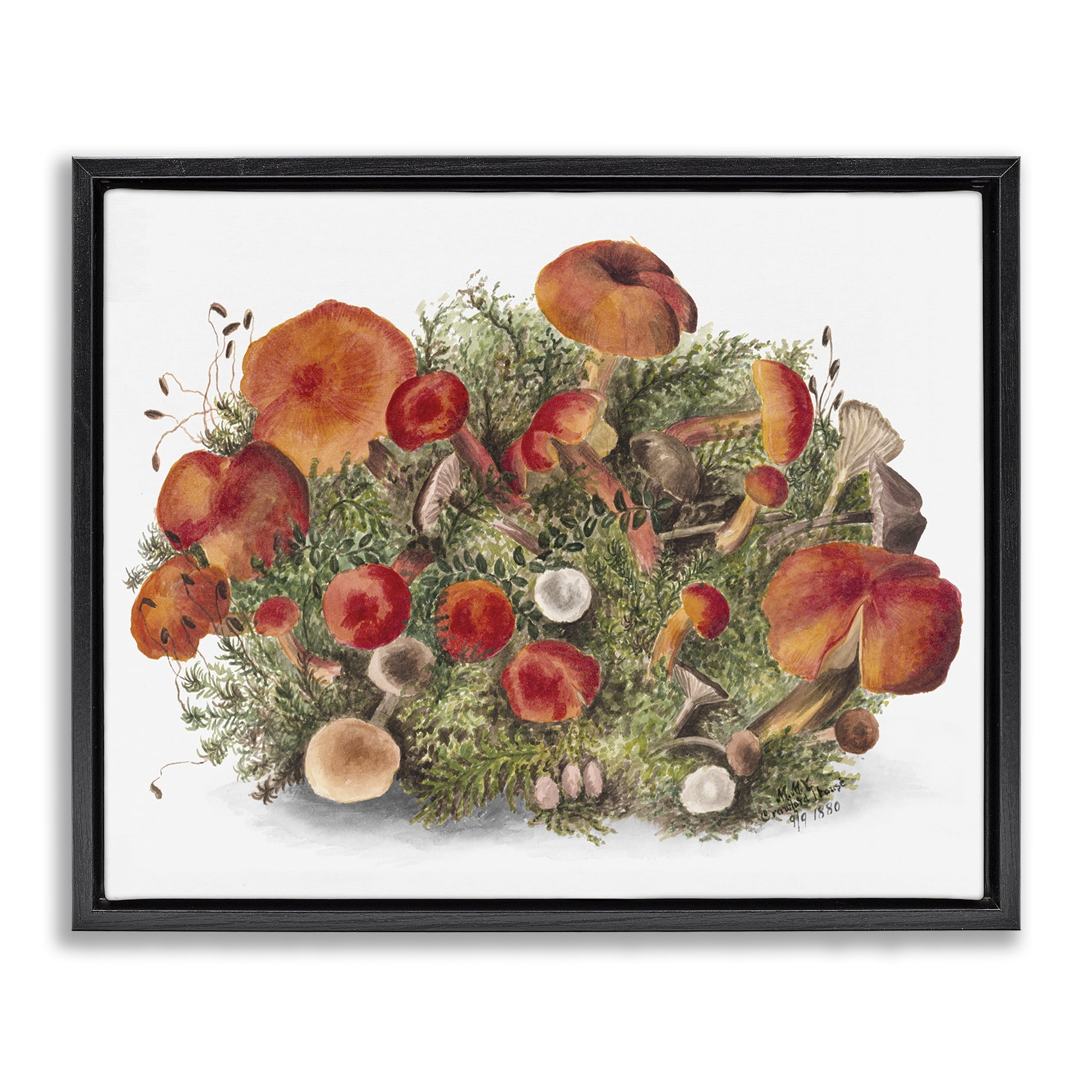 Stupell Industries Rustic Cottage Mushrooms Botanical & Floral Painting Black Floater Framed Art Print Wall Art, 31 x 25