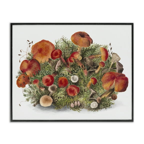 Stupell Industries Rustic Cottage Mushrooms Botanical & Floral Painting Black Framed Art Print Wall Art, 14 x 11