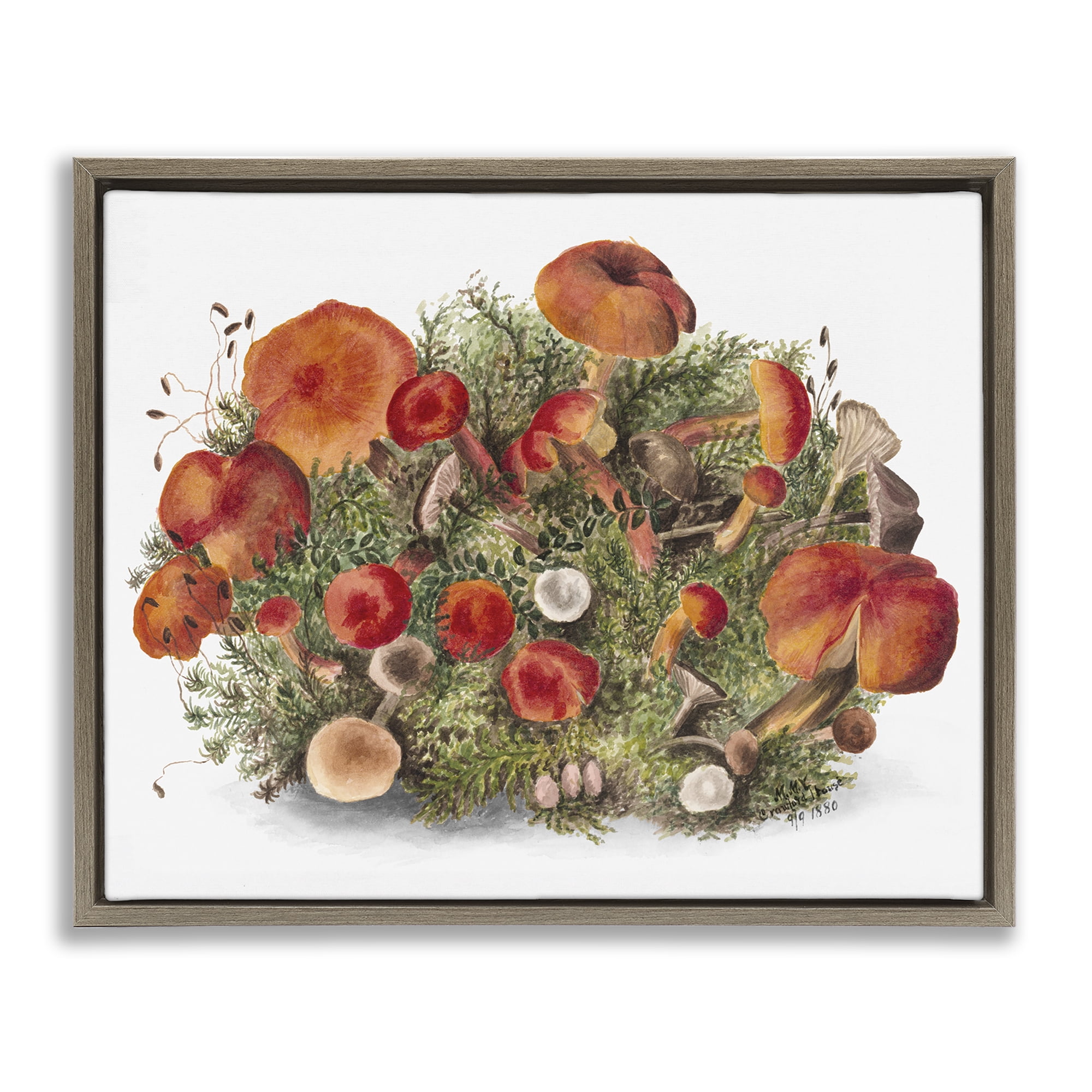 Stupell Industries Rustic Cottage Mushrooms Botanical & Floral Painting Brown Floater Framed Art Print Wall Art, 31 x 25