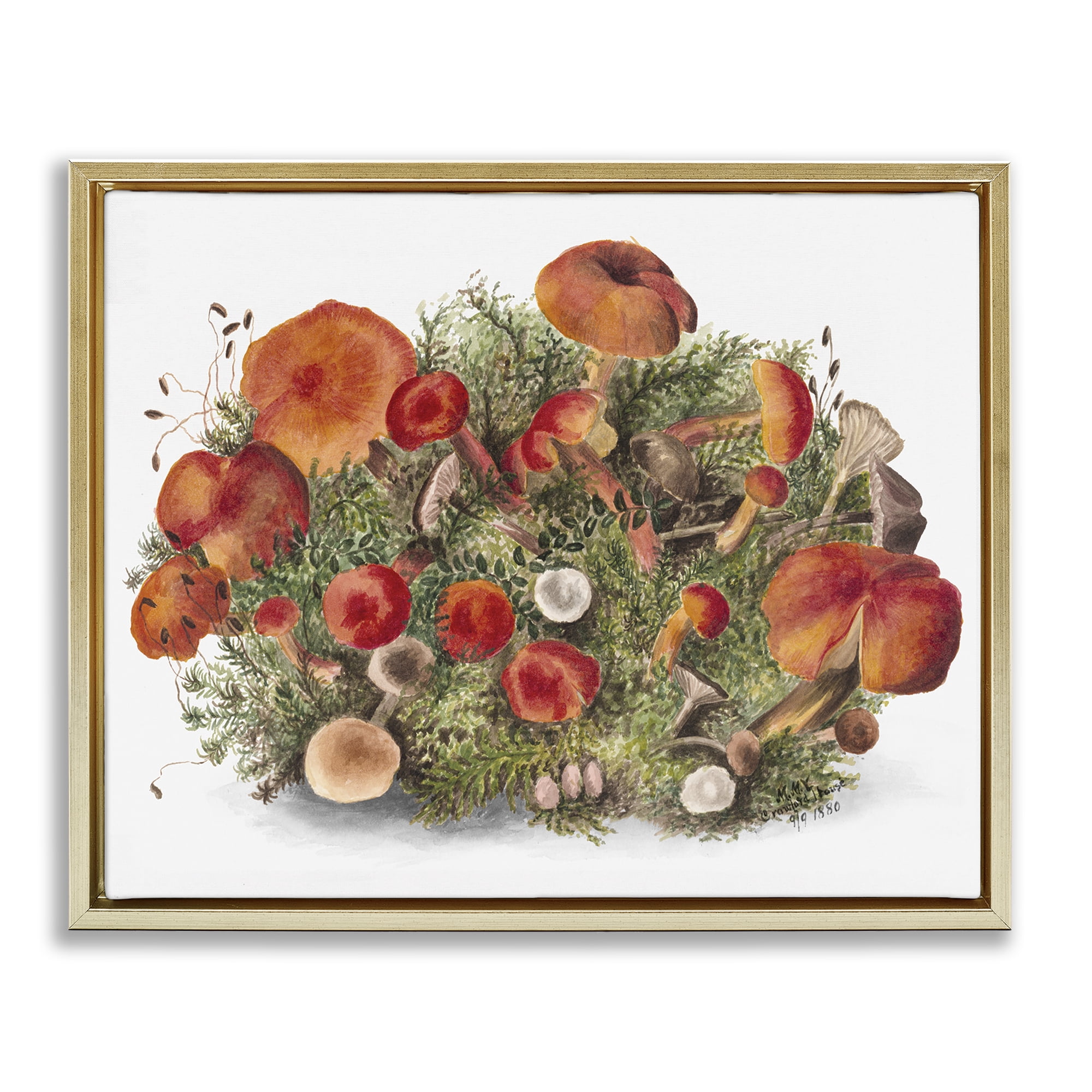 Stupell Industries Rustic Cottage Mushrooms Botanical & Floral Painting Gold Floater Framed Art Print Wall Art, 31 x 25