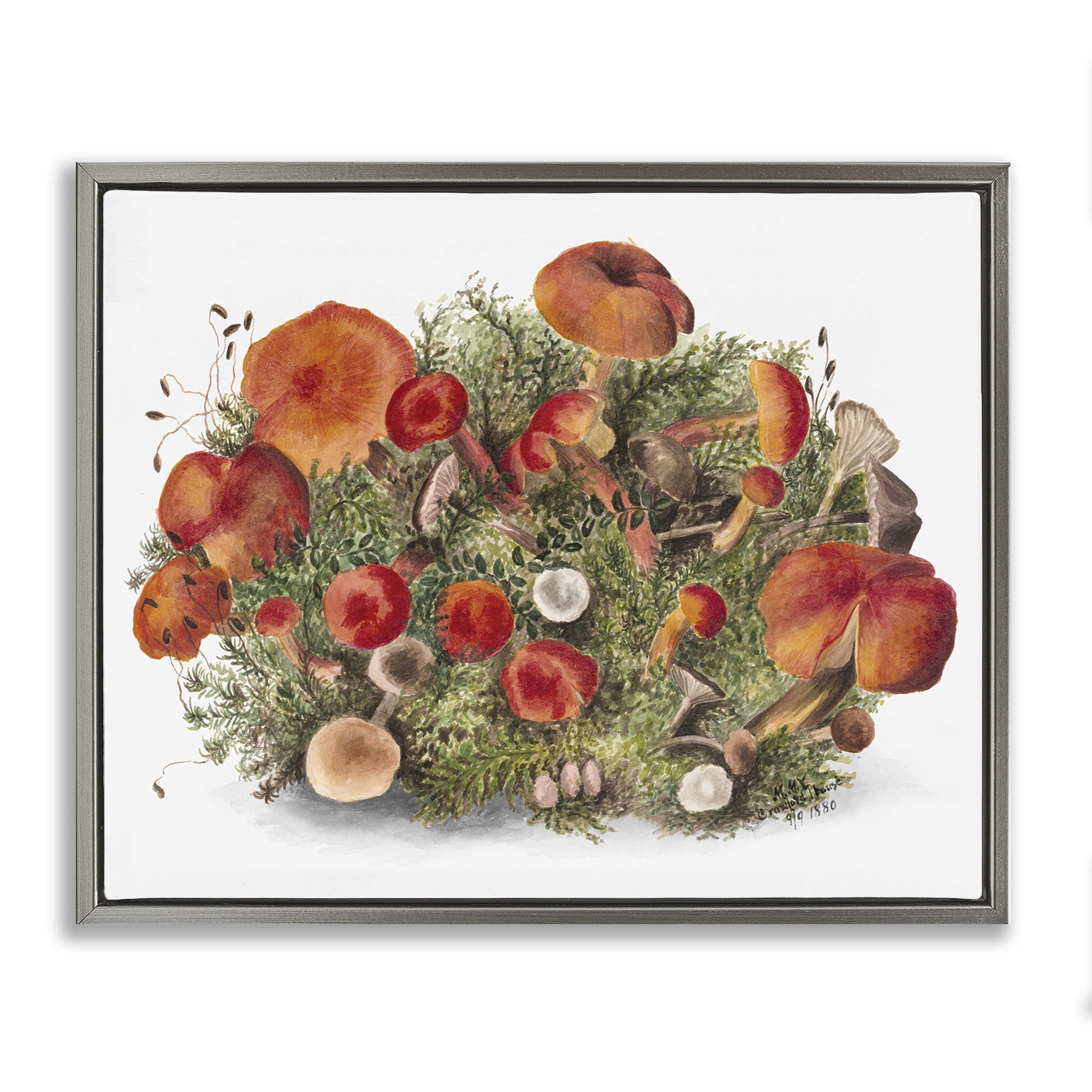 Stupell Industries Rustic Cottage Mushrooms Botanical & Floral Painting Gray Floater Framed Art Print Wall Art, 21 x 17