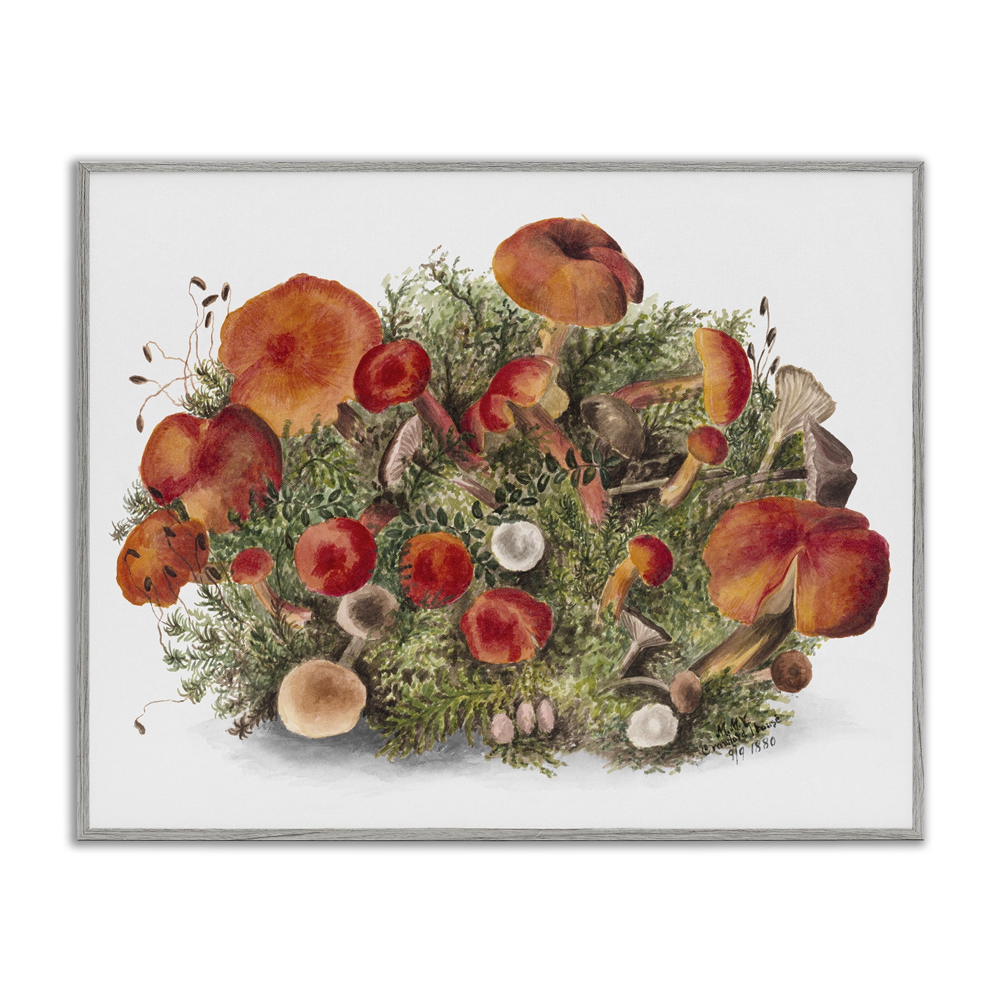 Stupell Industries Rustic Cottage Mushrooms Botanical & Floral Painting Gray Framed Art Print Wall Art, 30 x 24