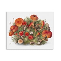 Stupell Industries Rustic Cottage Mushrooms Botanical & Floral Painting Unframed Art Print Wall Art, 14 x 11