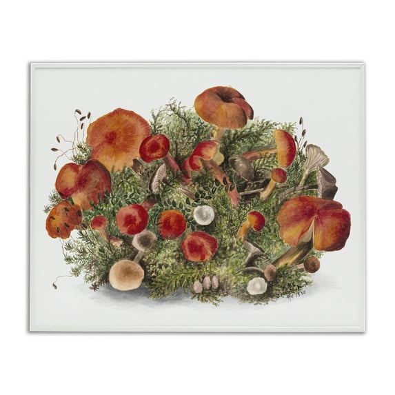 Stupell Industries Rustic Cottage Mushrooms Botanical & Floral Painting White Framed Art Print Wall Art, 14 x 11