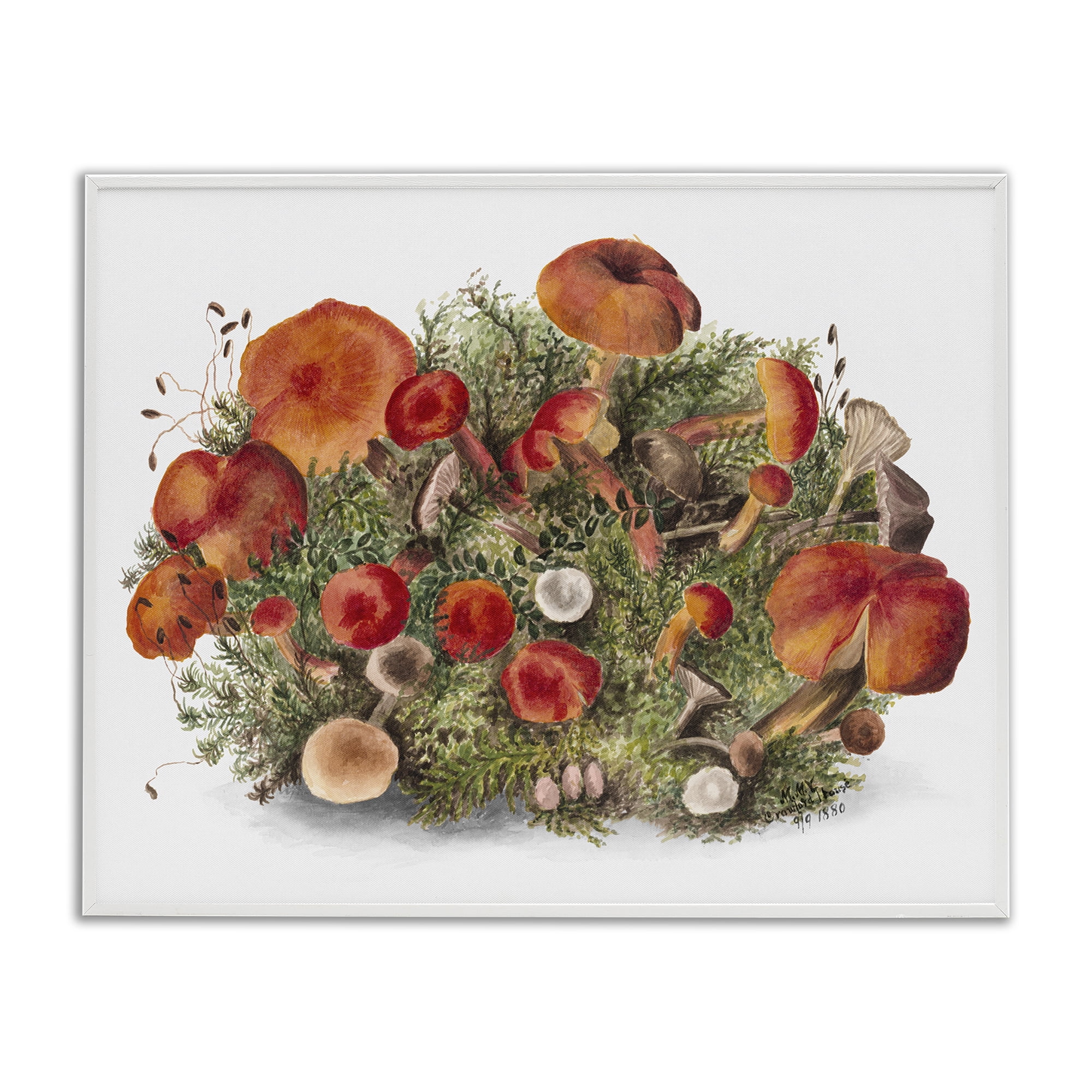 Stupell Industries Rustic Cottage Mushrooms Botanical & Floral Painting White Framed Art Print Wall Art, 20 x 16