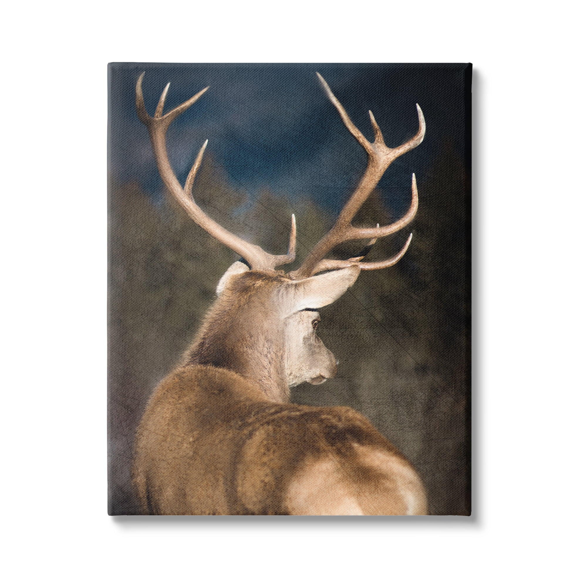 Stupell Industries Rustic Dark Deer Portrait Animals & Insects Painting Gallery Wrapped Canvas Art Print Wall Art, 36 x 48