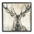 thumbnail image 1 of Stupell Industries Rustic Deer Elk Wildlife Portrait Animals & Insects Painting Black Framed Art Print Wall Art, 1 of 8