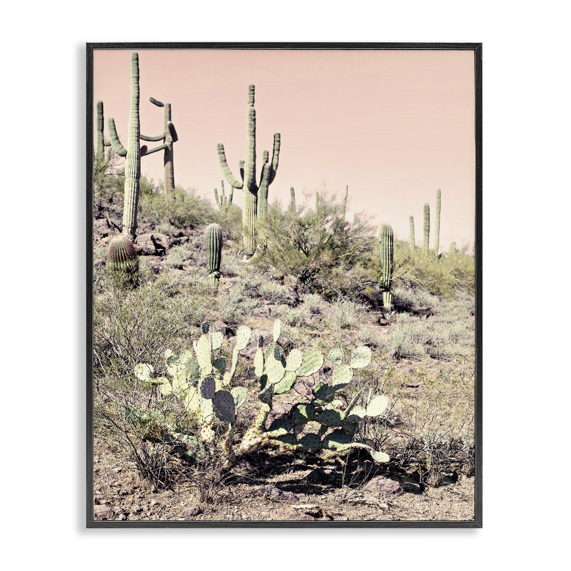 Stupell Industries Rustic Desert Scene Landscape & Nature Photography Black Framed Art Print Wall Art, 24 x 30