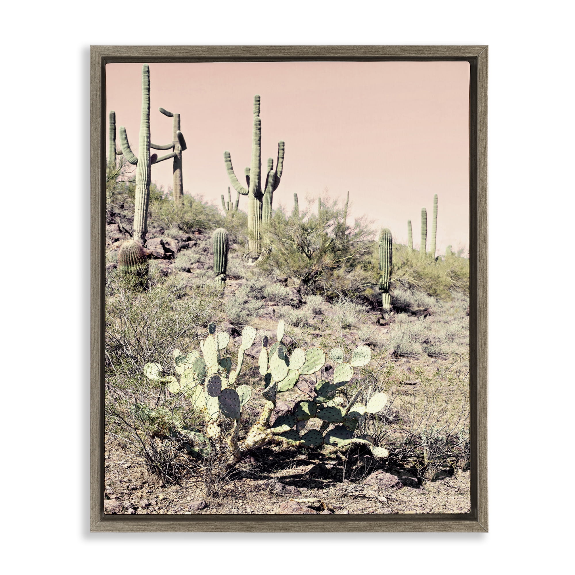 Stupell Industries Rustic Desert Scene Landscape & Nature Photography Brown Floater Framed Canvas Art Print Wall Art, 25 x 31