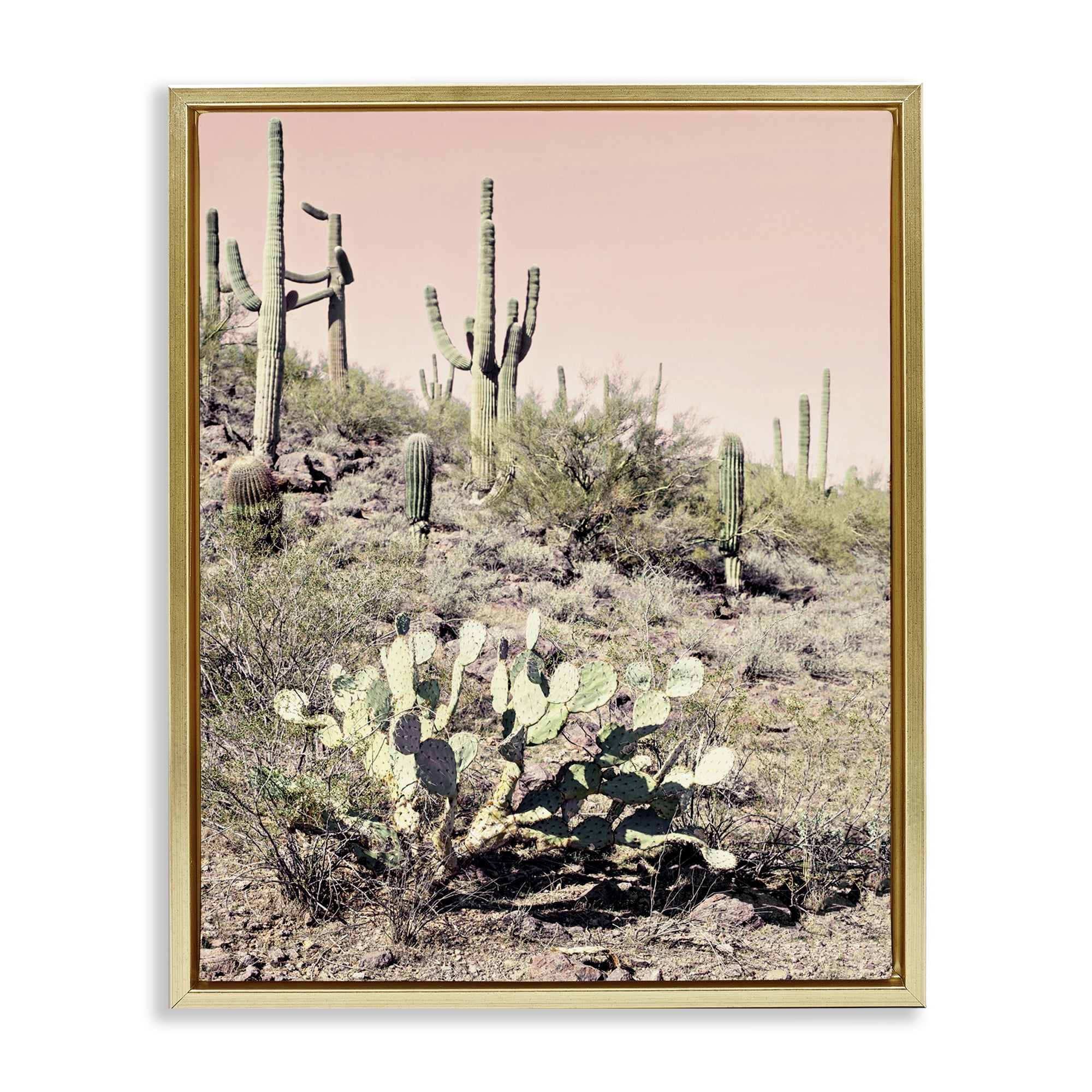 Stupell Industries Rustic Desert Scene Landscape & Nature Photography Gold Floater Framed Canvas Art Print Wall Art, 25 x 31