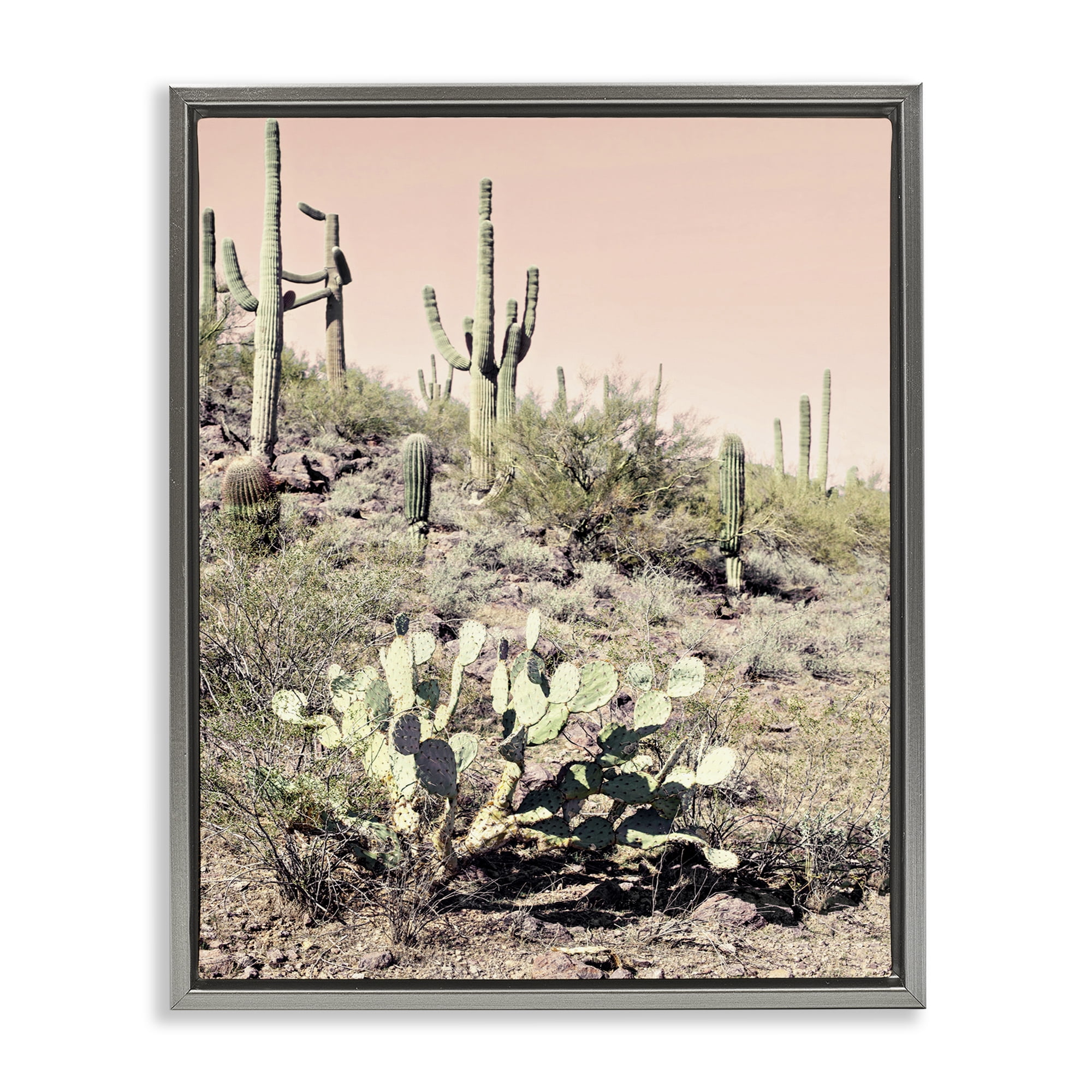 Stupell Industries Rustic Desert Scene Landscape & Nature Photography Gray Floater Framed Canvas Art Print Wall Art, 17 x 21