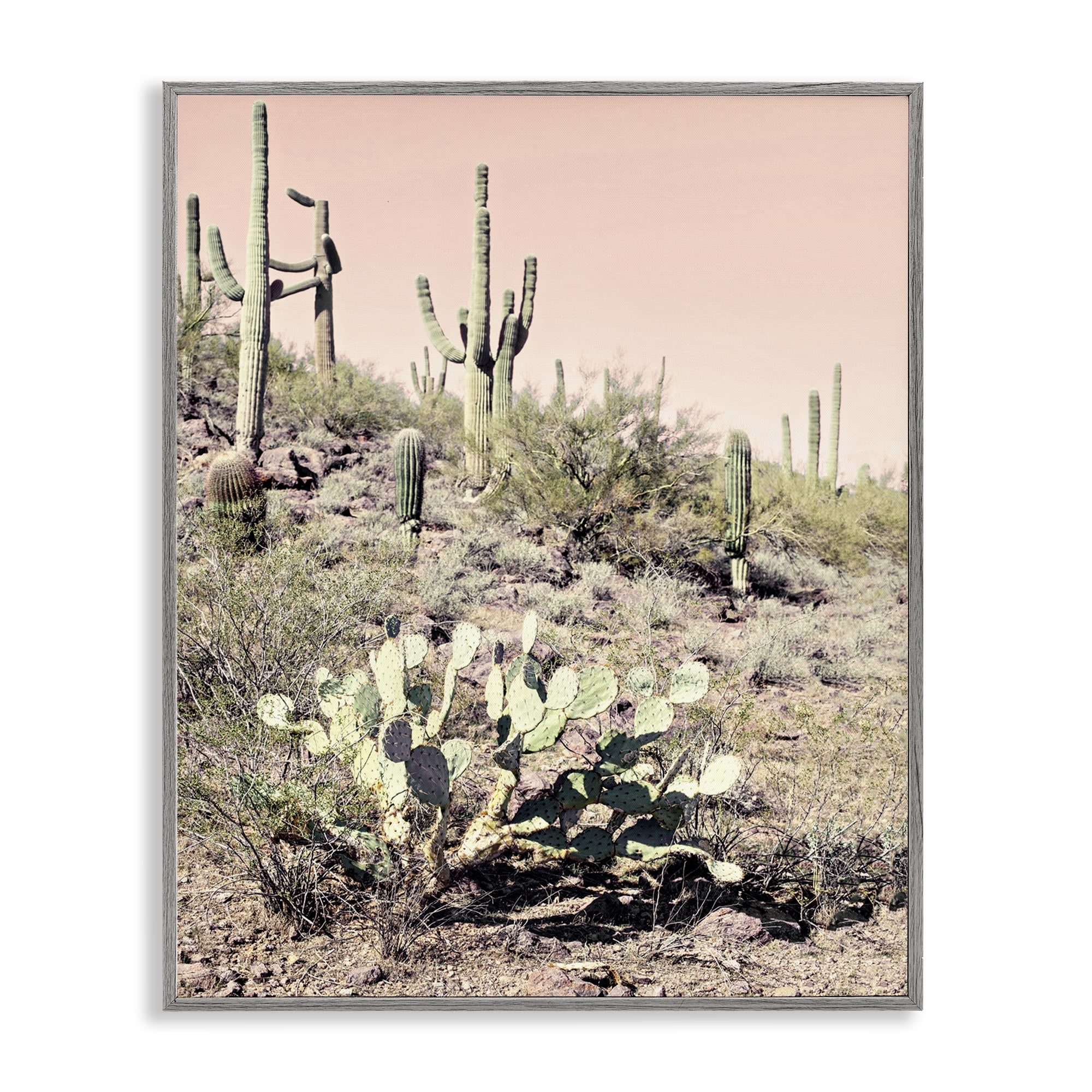 Stupell Industries Rustic Desert Scene Landscape & Nature Photography Gray Framed Art Print Wall Art, 11 x 14