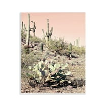 Stupell Industries Rustic Desert Scene Landscape & Nature Photography Unframed Art Print Wall Art, 11 x 14