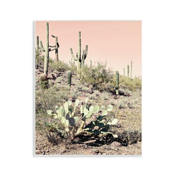 Stupell Industries Rustic Desert Scene Landscape & Nature Photography Unframed Art Print Wall Art, 11 x 14