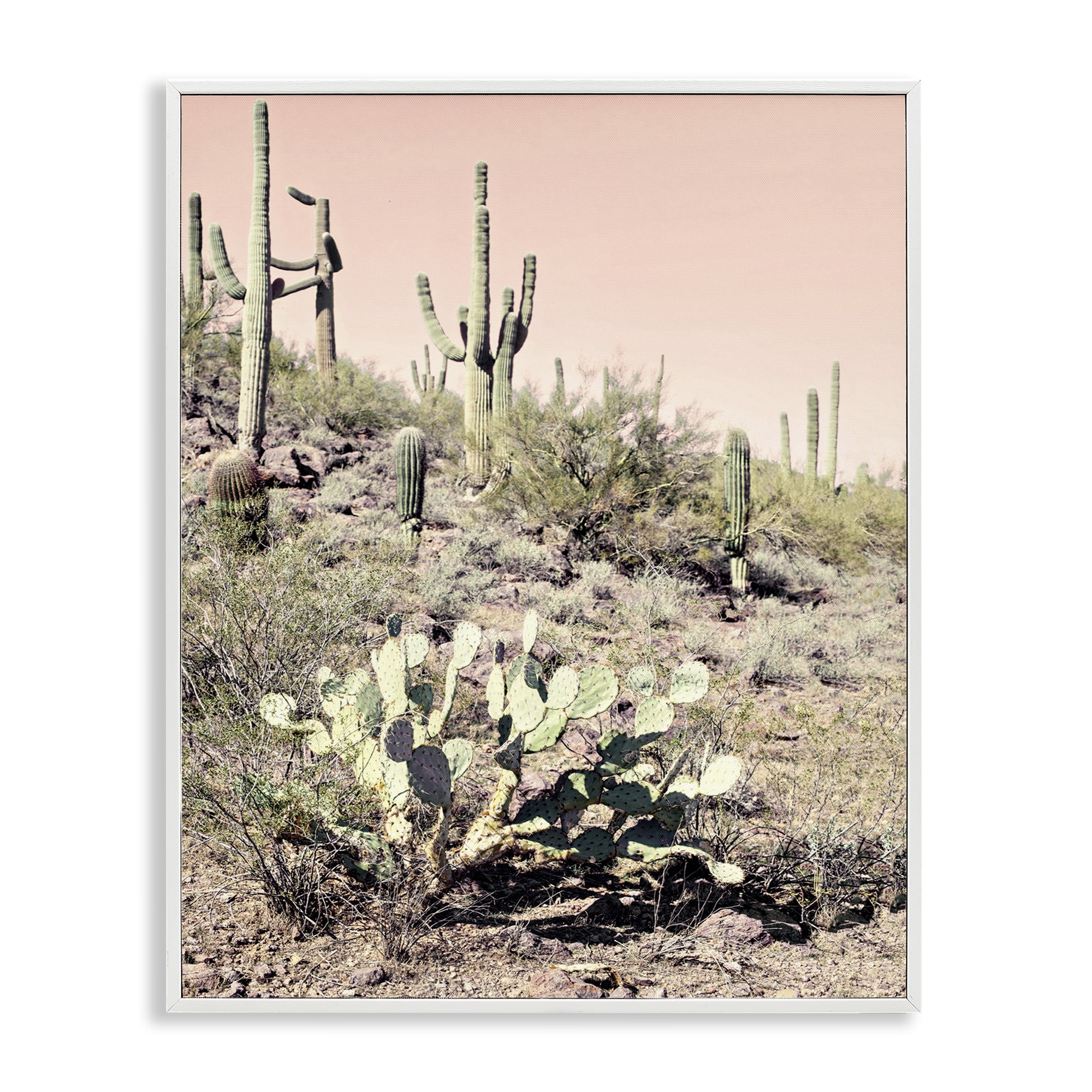 Stupell Industries Rustic Desert Scene Landscape & Nature Photography White Framed Art Print Wall Art, 11 x 14