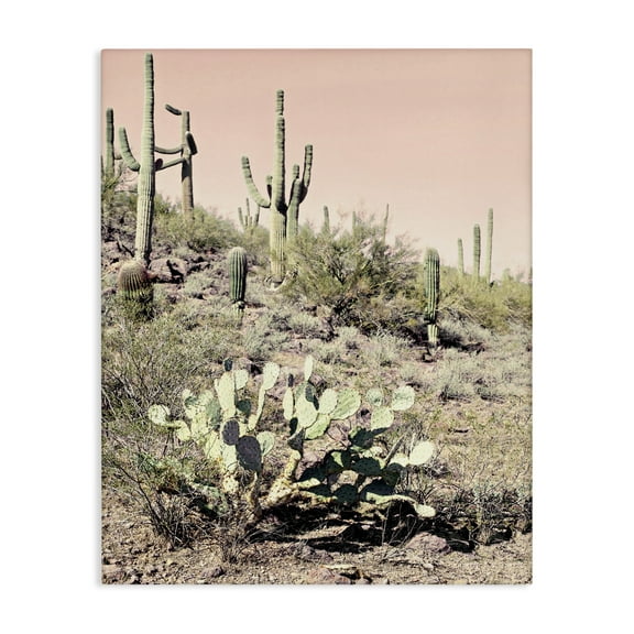 Stupell Industries Rustic Desert Scene Landscape & Nature Photography Wrapped Canvas Art Print Wall Art, 16 x 20