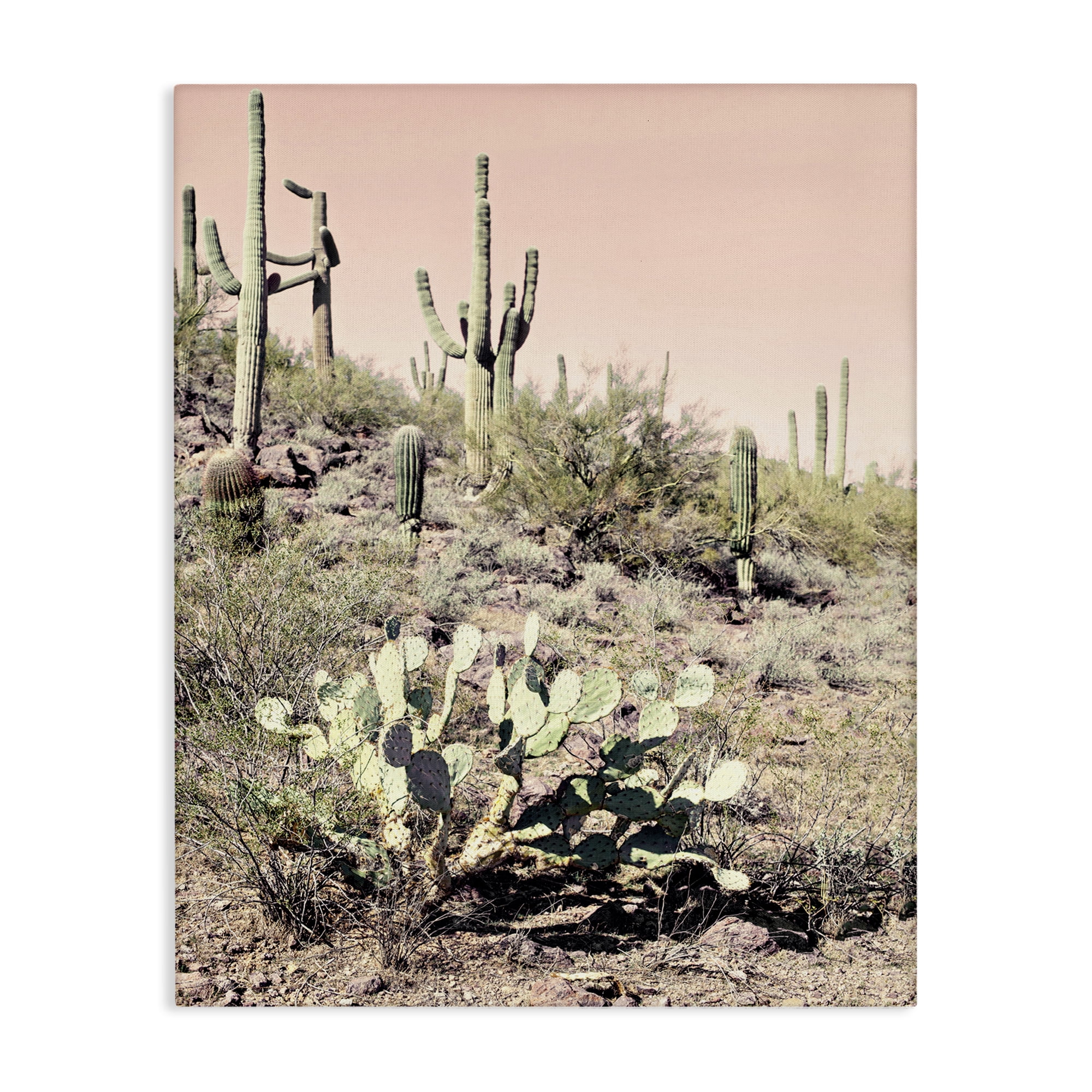 Stupell Industries Rustic Desert Scene Landscape & Nature Photography Wrapped Canvas Art Print Wall Art, 30 x 40