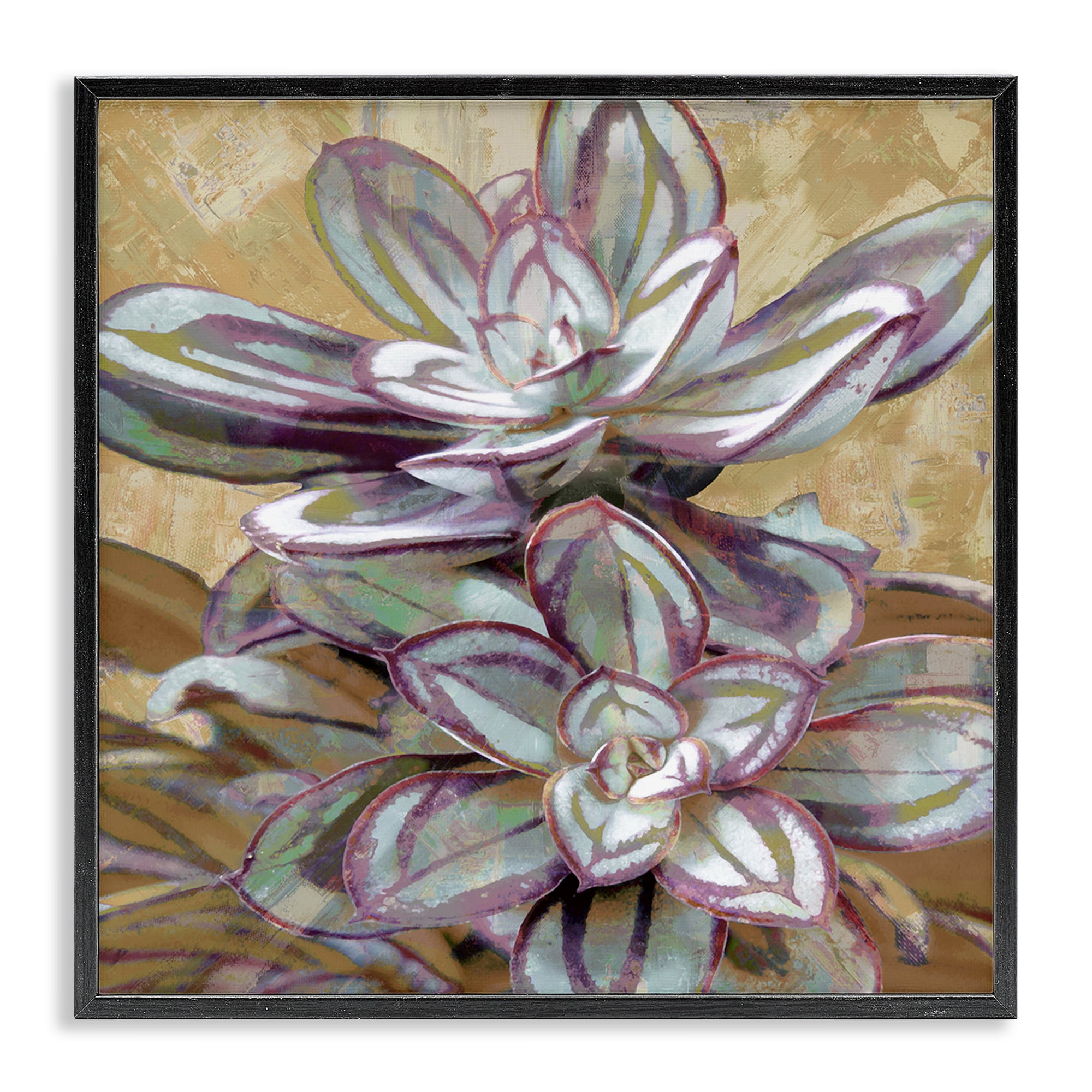 Stupell Industries Rustic Desert Succulents Plants & Flowers Painting Black Framed Art Print Wall Art, 24 x 24