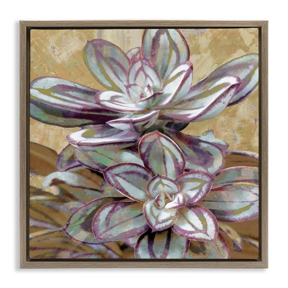 Stupell Industries Rustic Desert Succulents Plants & Flowers Painting Brown Floater Framed Canvas Art Print Wall Art, 18 x 18